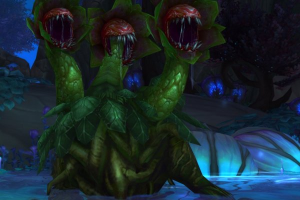 Kraken ссылка для тору