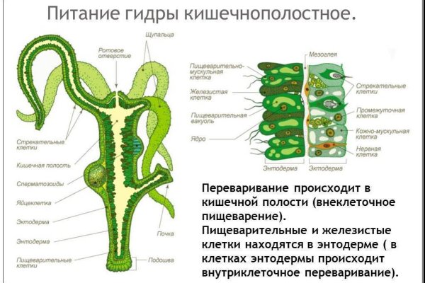Kraken 13at сайт