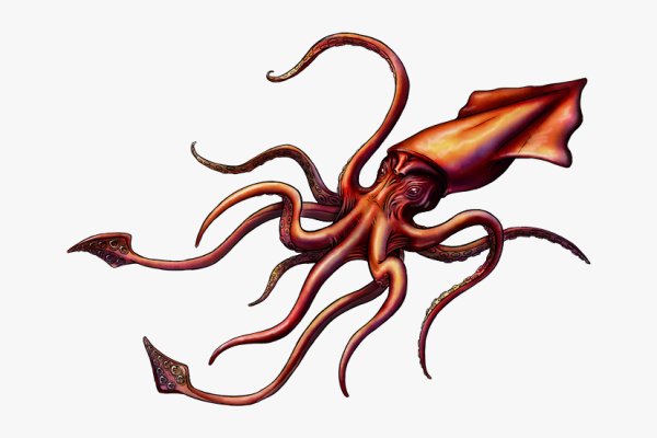 Kraken актуальные зеркала krakentor site
