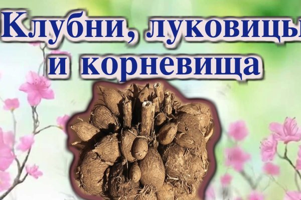 Кракен макет плейс