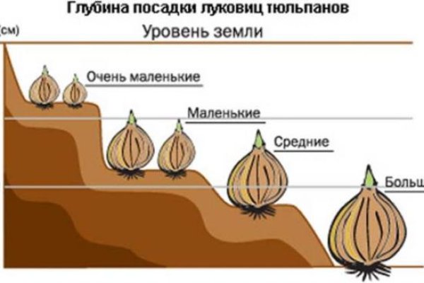 Кракен не грузит
