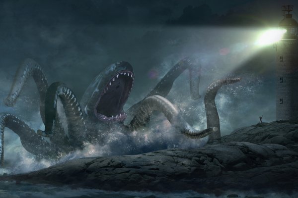 Kraken маркет whitenet только через tor скачать