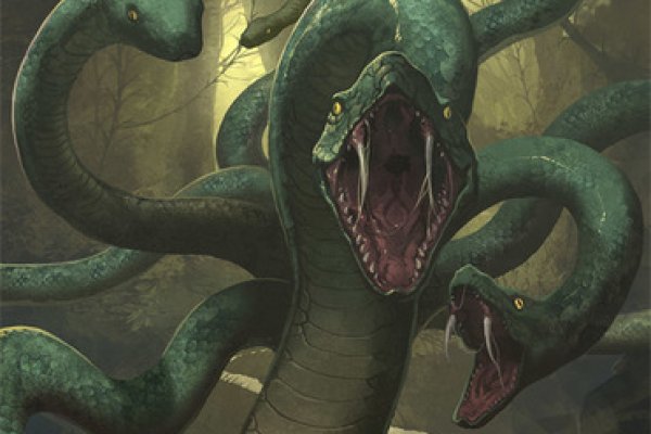 Kraken market
