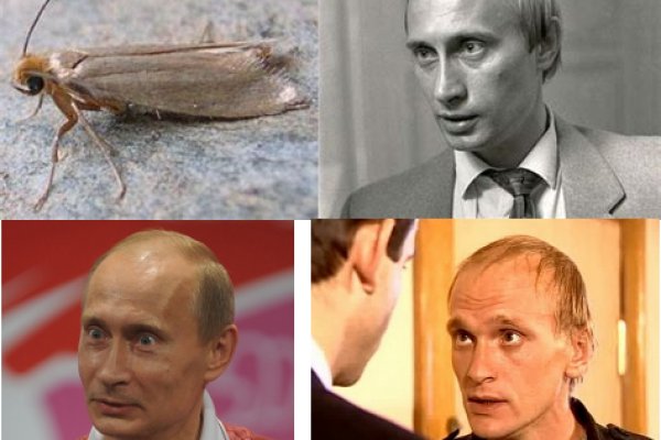 Кракен гидра супернет