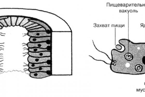 Кракен ссылка новая