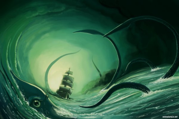 Kraken whitenet market ссылка